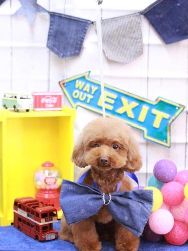 20230413永遠ちゃん